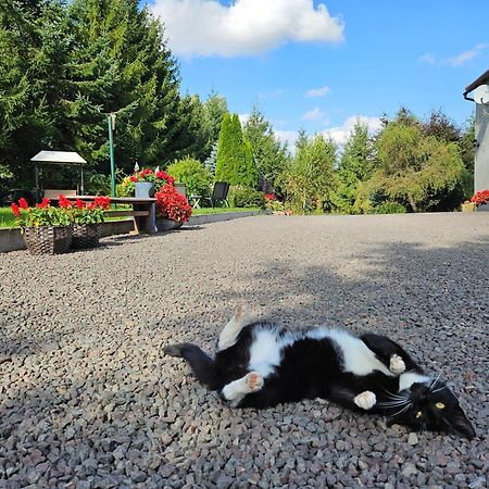 Noclegi U Przewodnikow - Zwiedzaczek Lubawka Buitenkant foto