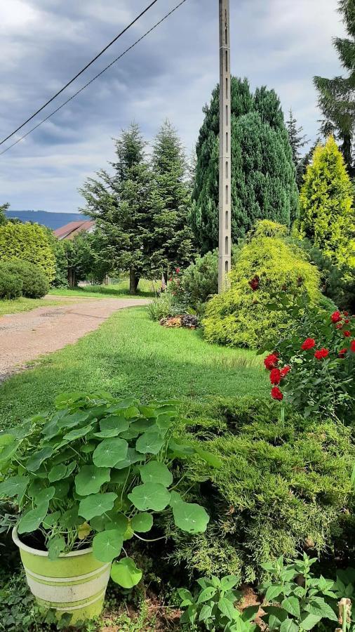 Noclegi U Przewodnikow - Zwiedzaczek Lubawka Buitenkant foto