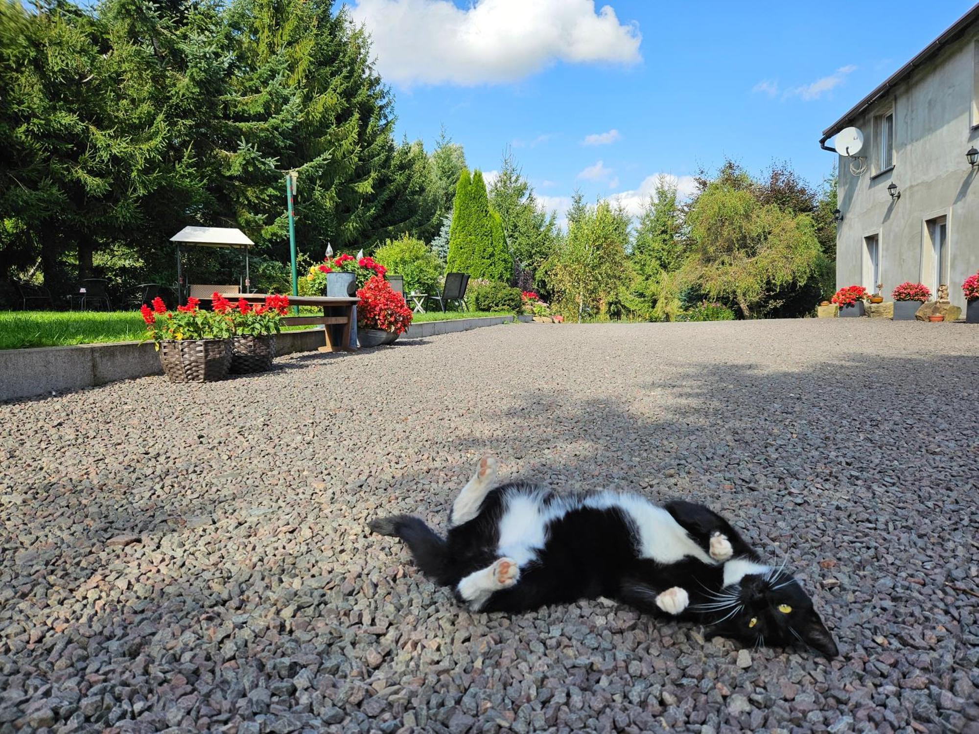Noclegi U Przewodnikow - Zwiedzaczek Lubawka Buitenkant foto